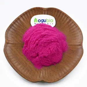 Aogubio-poudre de cerise bio à séchage rapide