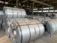 Tôles d'acier galvanisé prépeintes PPGI et bobines d'acier avec apprêt antirouille pour matériaux de construction préfabriqués de maisons conteneurs