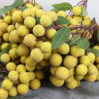 Kunstmatige plastic gesimuleerde gedroogde longan en lychee nep fruitcluster voor etalage China
