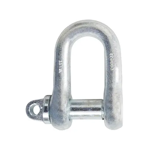 Rigging-Zubehör Edelstahl Große D-Schäkel BS3032 - Product Image 3