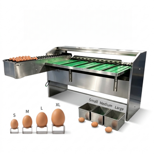 Máquina Automática para Clasificar Huevos/Máquina para Calificar Huevos/Máquina para Procesar Huevos a Bajo <span class=keywords><strong>Precio</strong></span> - Product Image 1