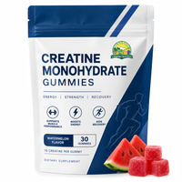 Gummies de créatine monohydrate à marque privée OEM, supplément en poudre à base de plantes saveur pastèque, électrolyte de créatine