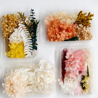 Boîte de fleurs naturelles préservées flottantes pour artisanat DIY fait main - Décoration de Noël et de la Fête des Mères, boîte carrée, emballage OPP