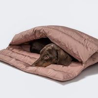 Sac de couchage pour chien personnalisé en gros couverture portable imperméable en polyester lit pour animaux de compagnie avec motif solide pour camping randonnée excursions en bateau