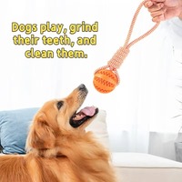 Ensemble de jouets à mâcher pour chiens et chats en caoutchouc écologique - Design de dessin animé, corde de traction, alimentation lente, entraînement interactif, durable