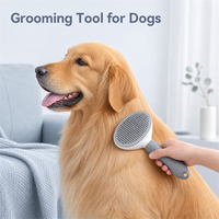Brosse autonettoyante en plastique pour animaux de compagnie, rétractable en un clic, à picots en acier, avec poignée antidérapante, pour démêlage et toilettage des chats et chiens