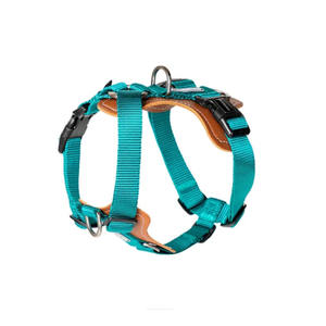 Üreticileri yeni tasarım lüks Pet köpek koşum Set ayarlanabilir hiçbir çekme eğitim köpek yelek aksesuarları tasma köpekler için - Product Image 2