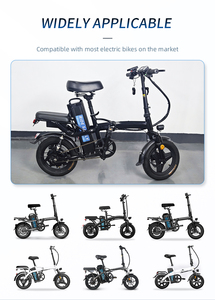 Batteries au lithium pour vélos <span class=keywords><strong>électrique</strong></span>s <span class=keywords><strong>36</strong></span> <span class=keywords><strong>volts</strong></span> 20ah 30ah <span class=keywords><strong>Batterie</strong></span> <span class=keywords><strong>de</strong></span> <span class=keywords><strong>vélo</strong></span> <span class=keywords><strong>électrique</strong></span> Poisson argenté <span class=keywords><strong>Batterie</strong></span> <span class=keywords><strong>de</strong></span> <span class=keywords><strong>vélo</strong></span> <span class=keywords><strong>électrique</strong></span> avec indicateur <span class=keywords><strong>de</strong></span> puissance - Product Image 6