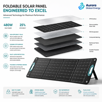 Module solaire pliable haute puissance conçu pour les aventures en plein air, les excursions de camping et les systèmes d'énergie autonome