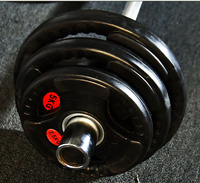 Disques de musculation en caoutchouc à trois trous pour usage commercial et compétition – Logo personnalisé, écologiques et durables