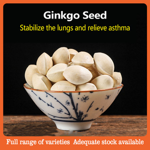 Herbes chinoises biologiques, graines de Ginkgo brutes séchées Bai <span class=keywords><strong>Guo</strong></span> en gros pour la santé et le bien-être naturels des reins - Product Image 5