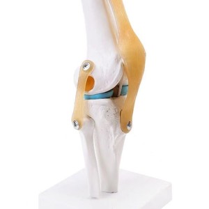 Molde de Mano de Plástico para Prototipos, Impresión 3D y Personalización de Moldes con Mecanizado CNC y Formato de Datos STL, STP, OPJ - Product Image 1