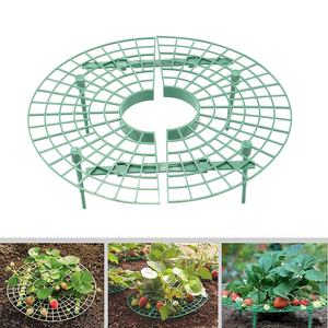 Plateau à fruits en plastique pour Melon, fraises, Support de Support, plantes de jardin - Product Image 3