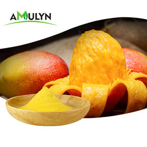 <span class=keywords><strong>100%</strong></span> murni alami mangga bubuk organik mangga jus buah bubuk - Product Image 3