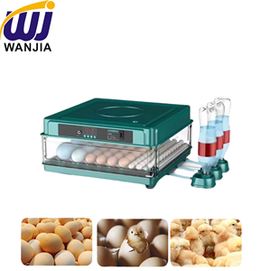 Incubateur à œufs de poulet WANJIA, machine d'éclosion automatique numérique pour poulet, canard, caille et oie, volaille - Product Image 1