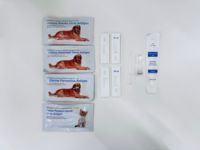 Kit de test rapide d'anticorps de leishmanie canine tests de diagnostic rapides pour animaux de compagnie Test de flux latéral de Leishmania canis