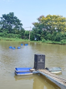 Fabrik Großhandel Voll automatische 240KG Fisch/Garnelen/Garnelen/Tilapia Teich Feeder Maschine - Product Image 6