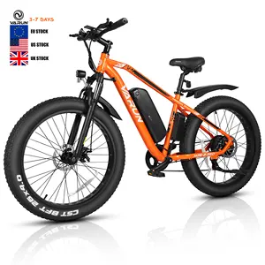 EU USA Ready Dual Suspension Stock Ebike 48V 13AH 500W 750W Electric Mountain Bike Aluminum 26 Inch Fat Tire City E Bicycle