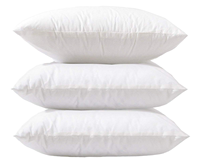 Coussin décoratif en microfibre avec rembourrage en coton pour canapé-lit, alternative au duvet, insert de coussin 20x20, lot de 2