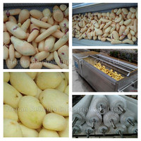 Machine à laver et à peler les légumes, pommes de terre, taro, courge, concombre de mer, avec moteur à brosse rotative - Puissance 1,5 kW, garantie 1 an