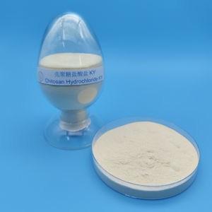 Chlorhydrate de chitosane <span class=keywords><strong>soluble</strong></span> dans l'eau de haute qualité KY pour l'agriculture - Product Image 2