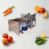 Hoog rendement motor aangedreven multifunctionele belletjesreinigingsmachine voor maïs, groenten en fruit, industrieel gebruik, pomp