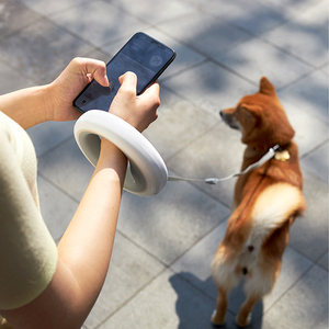 Conjunto de Correa y <span class=keywords><strong>collar</strong></span> de perro con correa de cuerda retráctil de diseño atractivo - Product Image 3