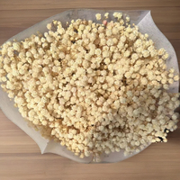 120g Buket Gypsophila Alami (Baby's Breath) Grosir Pabrik Bunga Kering Awet untuk Pernikahan, Natal, Wisuda