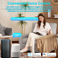 Módulo de Interruptor Inteligente Tuya ZigBee 3.0, 1 Canal, Contacto Seco, DC 12/24V AC 100-240V, Interruptor Inteligente para el Hogar, Compatible con Alexa