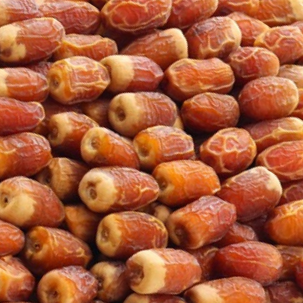 preserve dried fruit