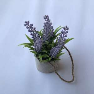 2025 2023 Flores y plantas decorativas Flores <span class=keywords><strong>de</strong></span> <span class=keywords><strong>lavanda</strong></span> <span class=keywords><strong>Bonsai</strong></span> <span class=keywords><strong>Lavanda</strong></span> Flor Boda <span class=keywords><strong>Lavanda</strong></span> Artificial Ramo <span class=keywords><strong>De</strong></span> <span class=keywords><strong>Lavanda</strong></span> - Product Image 6