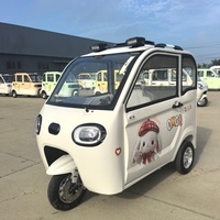 Triciclo Eléctrico de 800W para Personas Mayores, 3 Pasajeros, Mini Vehículo Eléctrico de Baja Velocidad para Viajes Diarios en Zonas Rurales y Transporte de Compras