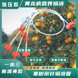Tube d'infusion pour arbres fruitiers Huanglongbing, pressurisé, sans BPA, en PVC, pour arbres fruitiers - Product Image 4