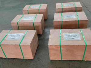 Quemador de Gas BNG28 para Calefacción de Calderas, Equipo Industrial, Diseño de Larga Duración para Operación Continua - Product Image 3