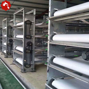 Fully Automated H Type Laying <strong>Hen</strong> Battery Cages 10000 Capacity Equipment for Ghana Zambia - Product Image 2