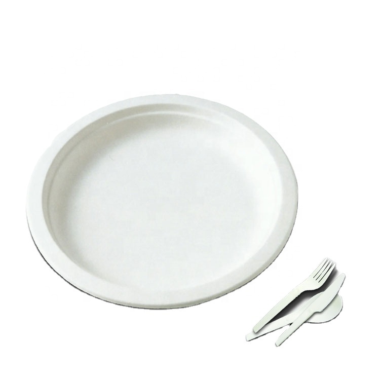 Одноразовые 10 дюймов жом сахарного тростника пластина для продажи