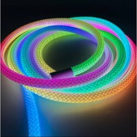 Guirlandes lumineuses LED néon tressées 5V, alimentées par USB/WiFi, contrôlées par application, indice de protection IP65, 30 LED/m, synchronisation musicale, matériau en peluche enveloppé, festivals