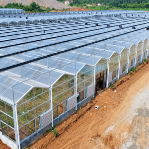 Serre agricole multi-travées SAIN de grande taille avec couverture en plaques PC, système hydroponique, agriculture personnalisée - Product Image 6