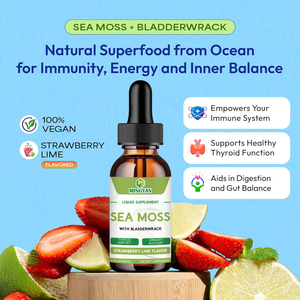 Gouttes liquides OEM/ODM de mousse de mer irlandaise et d'algues fucus 2 ml – Confort articulaire, équilibre digestif, santé de la peau, soutien immunitaire – Compléments alimentaires à base de plantes - Product Image 5