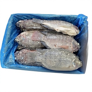 VAN BACH TUNG Bacalao Entero Congelado BQF Premium 1kg, Alta Calidad, Alto Valor Nutricional, 100% Natural, Envasado al Vacío, 12+ Meses - Product Image 1