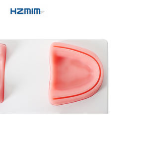 Modello di formazione dentale umano con denti in resina per uso alimentare Silicone sutura Pad per la pratica per le scuole e gli ospedali - Product Image 3