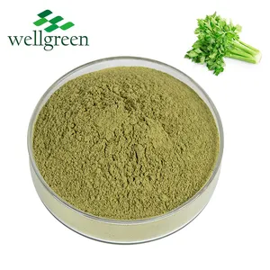 Chinese Factory Export Low Price Seeds Dried Celery Extract White Fresh Root Extracts Celery Powder