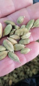 Épice Amomum Cardamomum Noix Brute Gros Fruits Verts Séchés Amomum Cardamomum à Vendre - Product Image 3