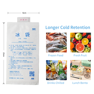 BAOLUN PE100ml-1000ml Llenar la bolsa de hielo con agua/para envío de alimentos médicos - Product Image 2