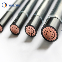 Cable Eléctrico THWN THHN, Cable Aislado de PVC Puro Personalizado de 2 Núcleos para Altavoz, Estándar Estadounidense, Calibre 8/10/12/14 AWG, Cobre