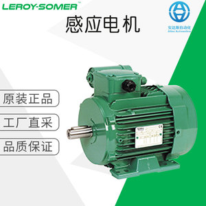 Motor de Inducción Leroy Somer Serie LS P, Instalación de un Solo Oído, Tipo Cilíndrico, Motor de CA - Product Image 5