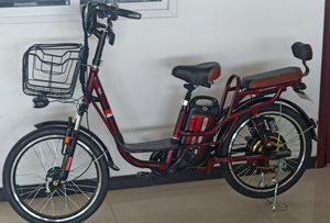 Vente en gros 350W 48V Vélo électrique <span class=keywords><strong>vintage</strong></span> 20 pouces Vélo électrique de ville pour femmes Vélo électrique avec panier - Product Image 5