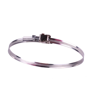SS430 DIY Quick Release <strong>Strap</strong> Hose <strong>Clamp</strong> 30m Bandwidth 9mm Polished Clip for Pipe Connection - Product Image 3