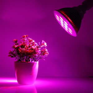 Kit <span class=keywords><strong>de</strong></span> Luz <span class=keywords><strong>de</strong></span> Cultivo LED Pequeño, Luz <span class=keywords><strong>de</strong></span> Cultivo <span class=keywords><strong>de</strong></span> Plantas <span class=keywords><strong>de</strong></span> Espectro Completo, Base E27, Gran Oferta, <span class=keywords><strong>Precio</strong></span> Competitivo para Jardinería Interior en el Hogar - Product Image 3