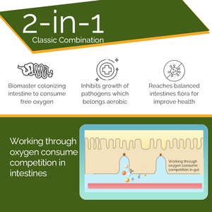 Probiótico Sinérgico en Polvo Soluble en Agua, Bacillus Subtilis y Bacillus Licheniformis, para la Regulación de la Flora Intestinal de Aves de Corral - Product Image 3
